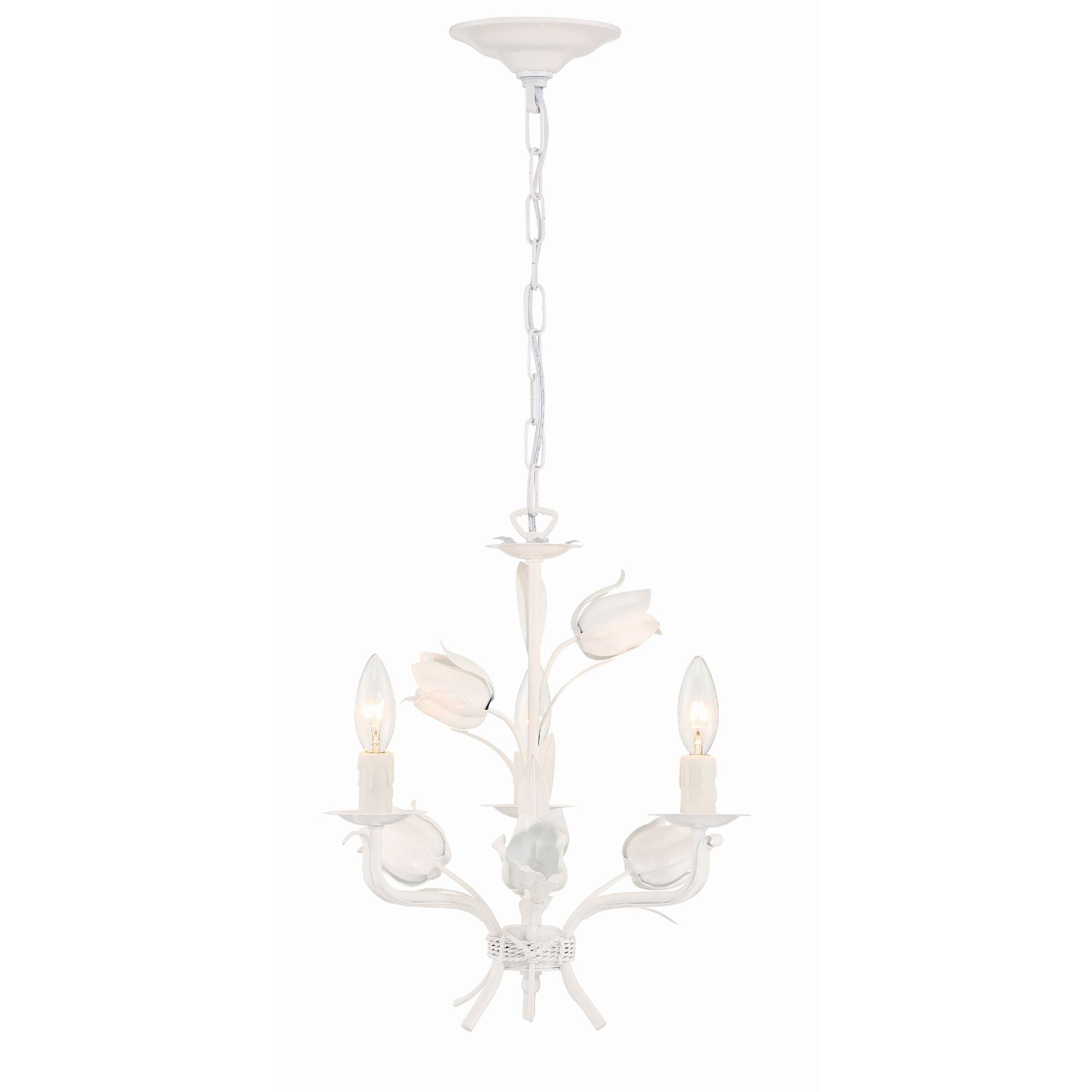 Cacaryra Classic Art Sage Rose Metal Chandelier - Lamp Copper