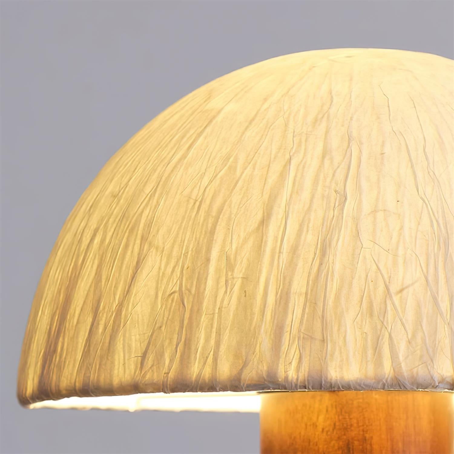 Elviana Lustre - Neutralighting