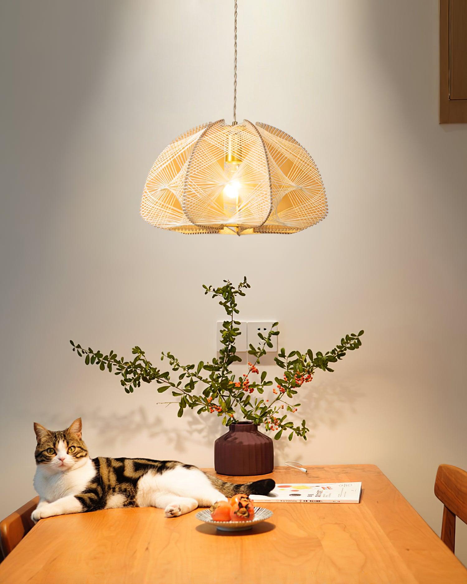 Surya Main Tressé Dôme Suspension - Neutralighting