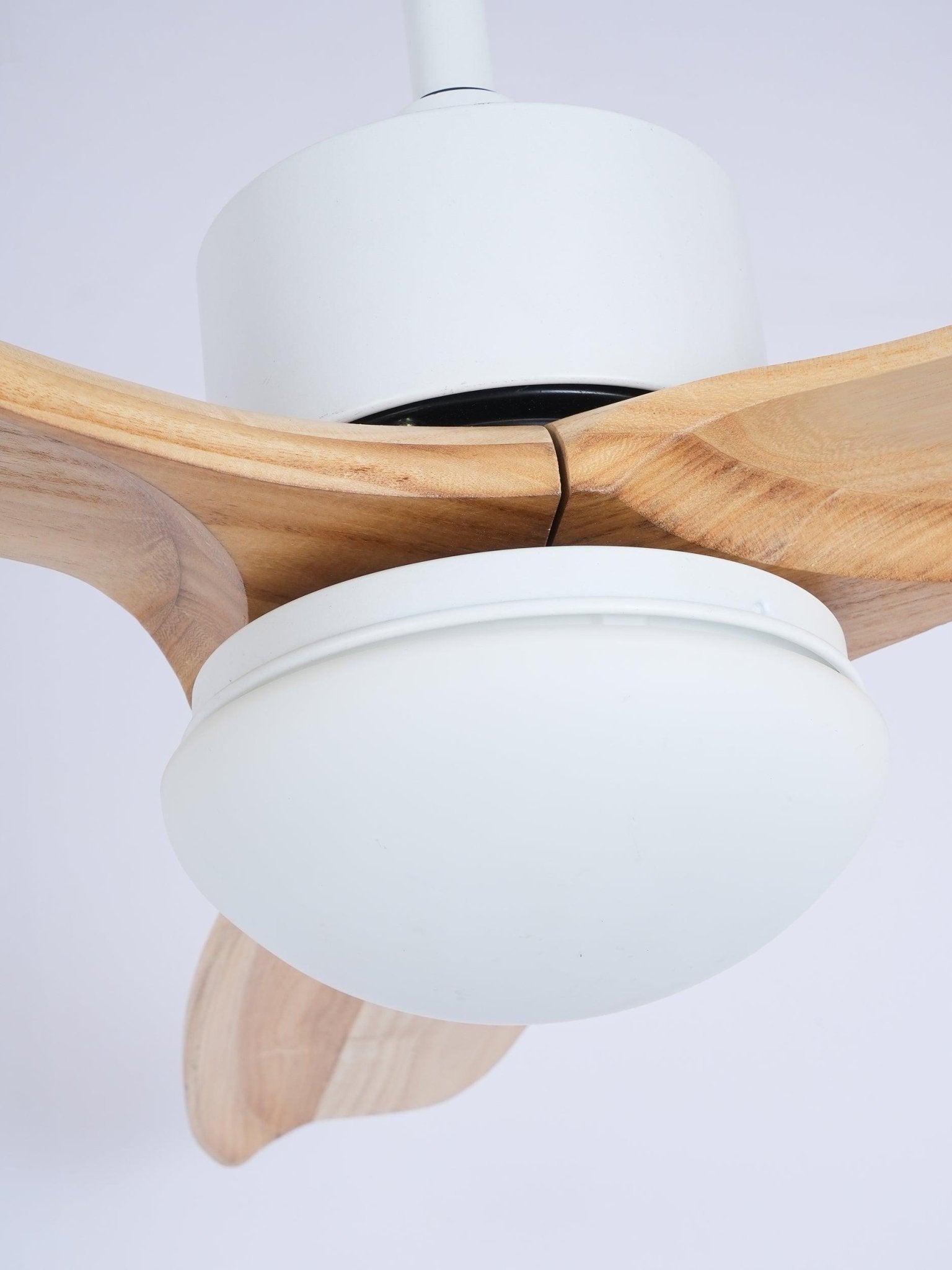 Ventilateur de plafond Brivel Élégance dans une pièce lumineuse et aérée.