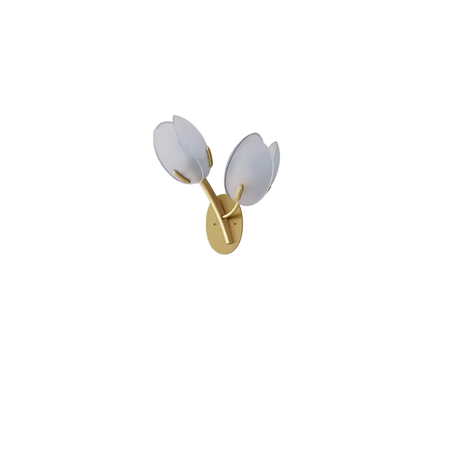 Orlantha Nordic Art Bloom Glass Wall Light - Letslighting