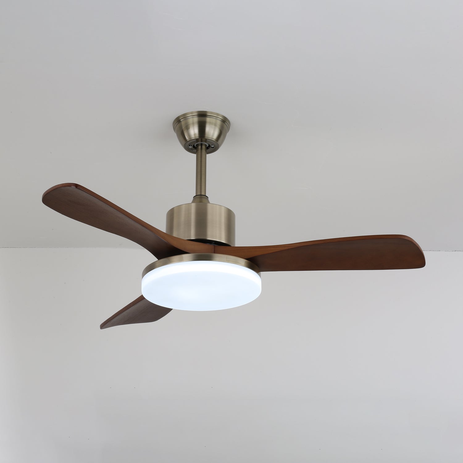 Plafonnier ventilateur Selora en laiton et bois, illustrant les notes d'installation ou les composants.