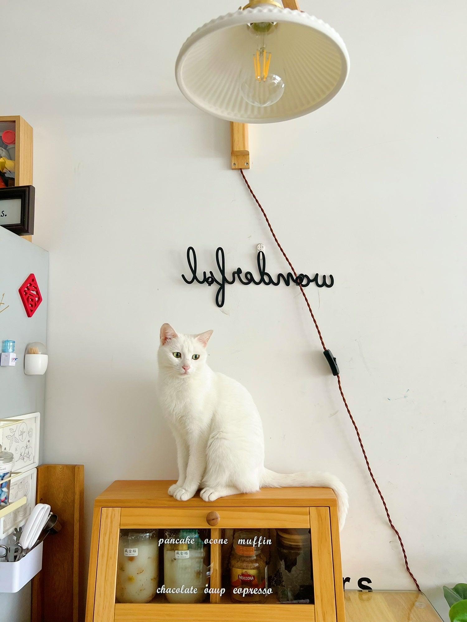 Lyphaia Nordic Art Telescopic Walnut Ceramic Wooden Wall Lamp - Neutralighting