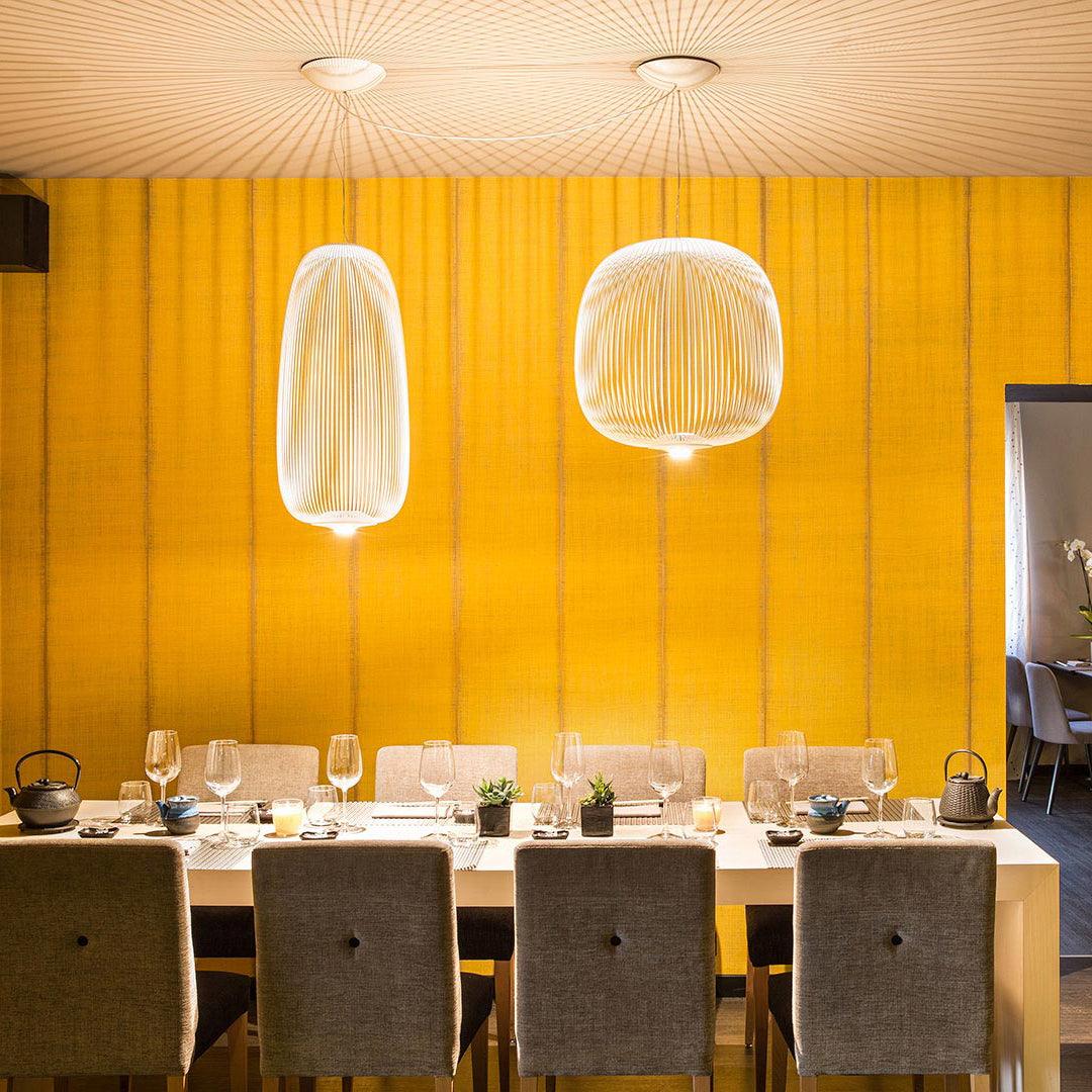 Aero Lampe Pendante Cage Rayons Légère - Neutralighting