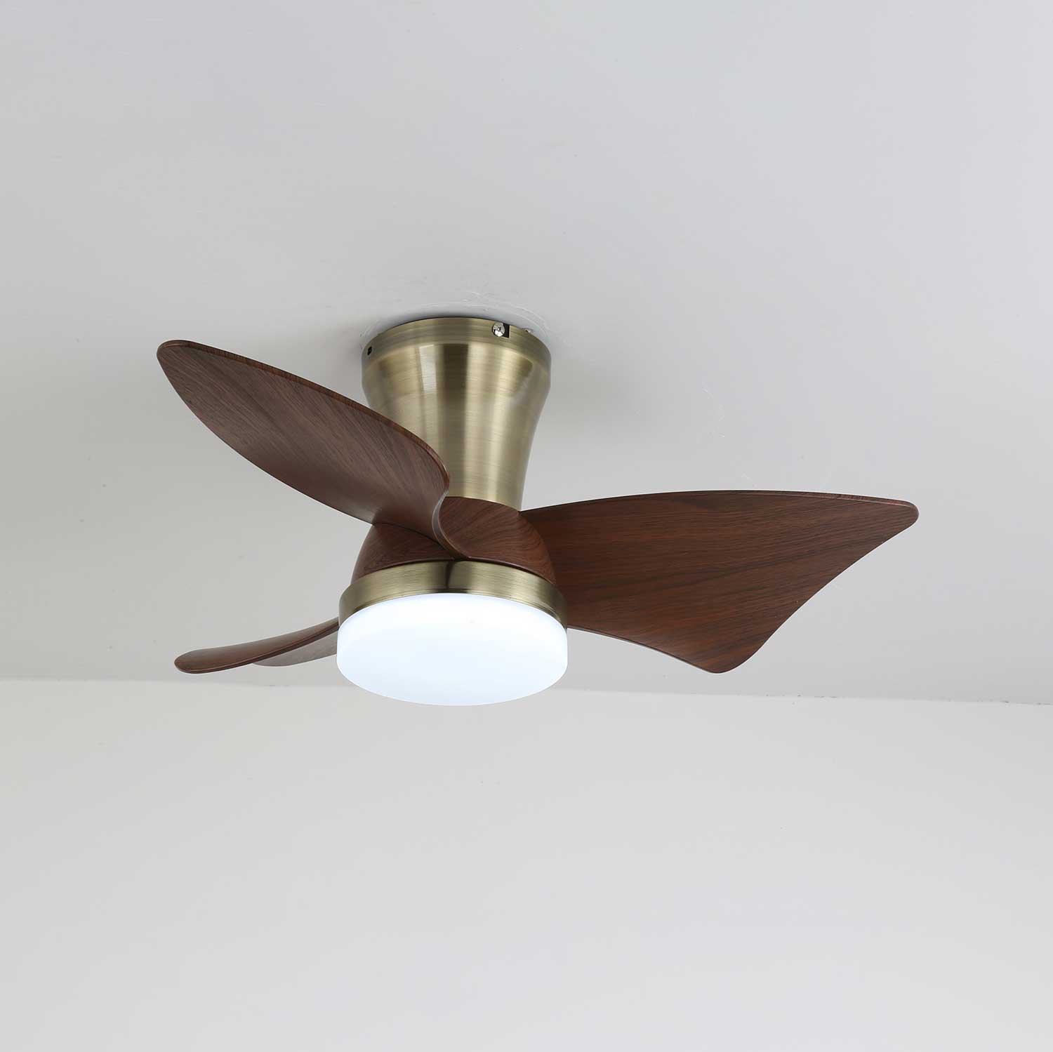 Détail du ventilateur de plafond moderne Caspian avec cadre métallique
