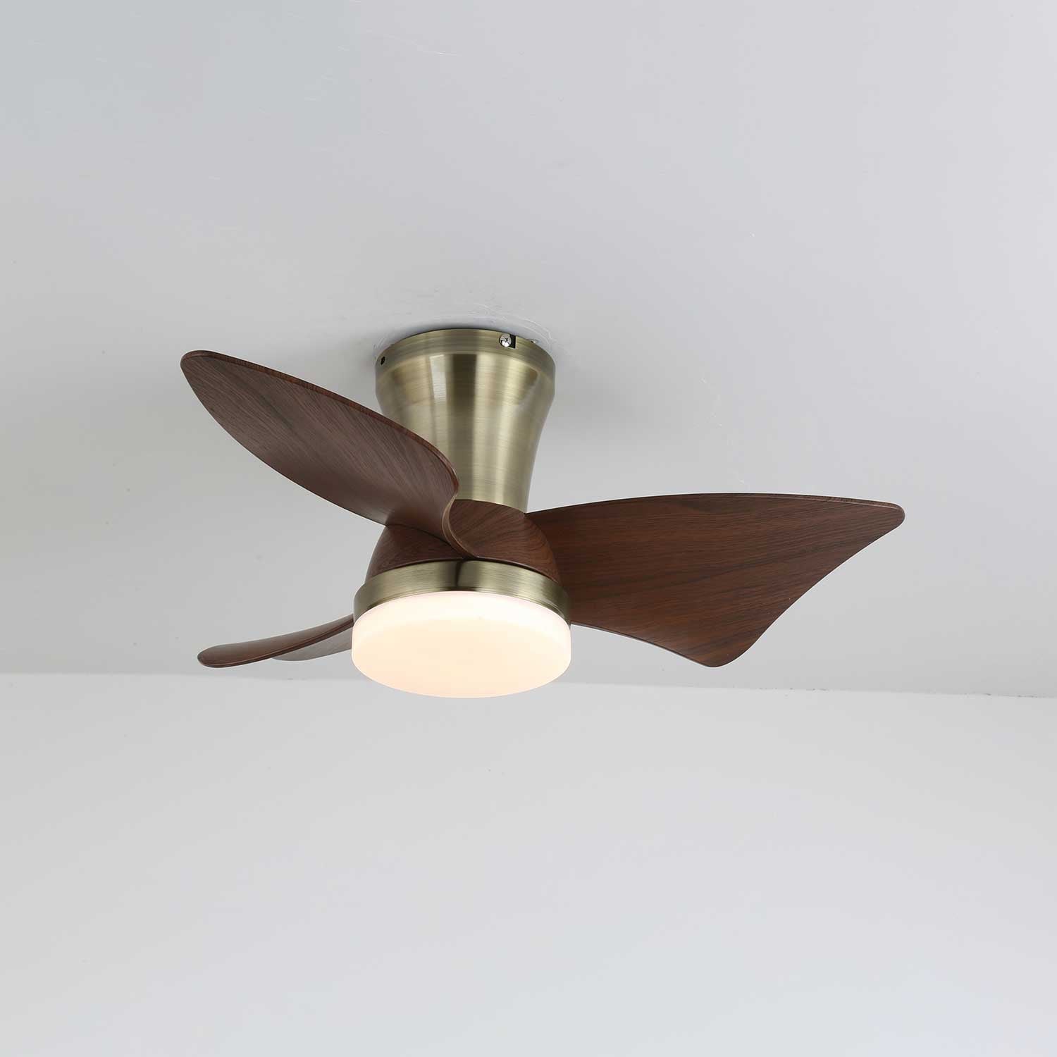Ventilateur de plafond Caspian avec télécommande