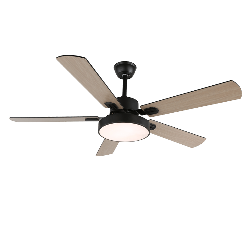 Photo d'ambiance du ventilateur de plafond Aerilux offrant circulation d'air et lumière