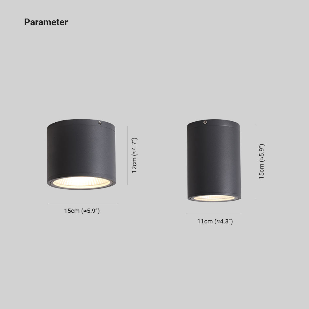 Ray Plafonnier Cylindre Moderne, Métal/Verre, Noir, Extérieur - Neutralighting